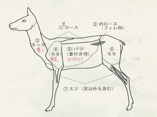 手軽でヘルシーな鹿肉料理　◆アラカルト◆