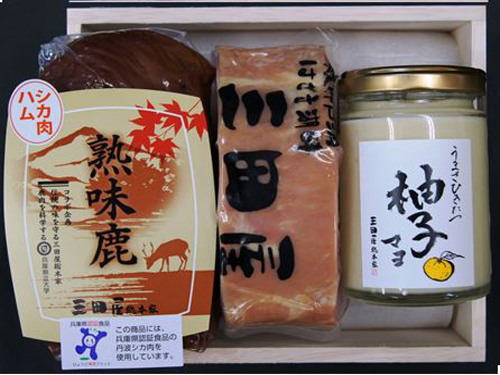 丹波の森のギフトセット(熟味鹿ハムブロック200g・三田屋ロースハムブロック270g・柚子マヨ120g)